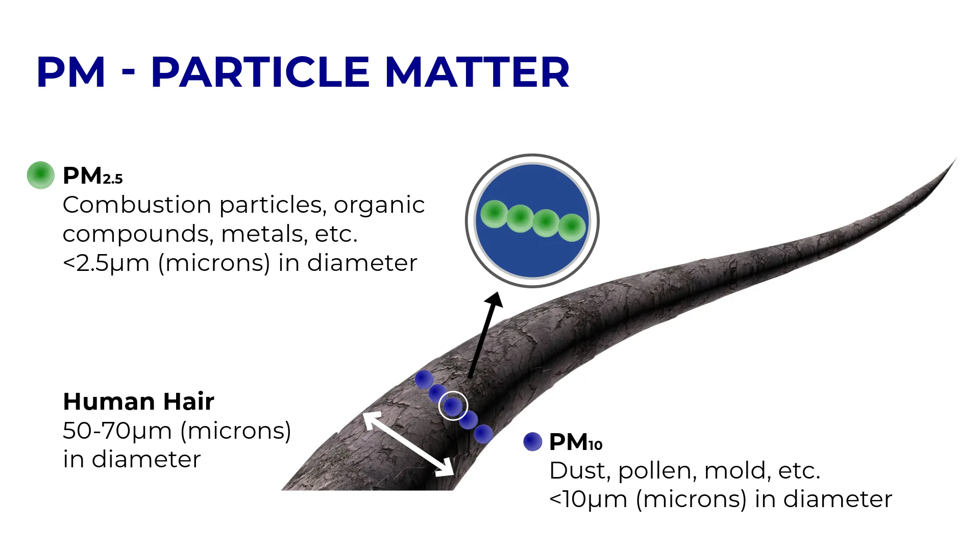 Particle Formation and Behavior