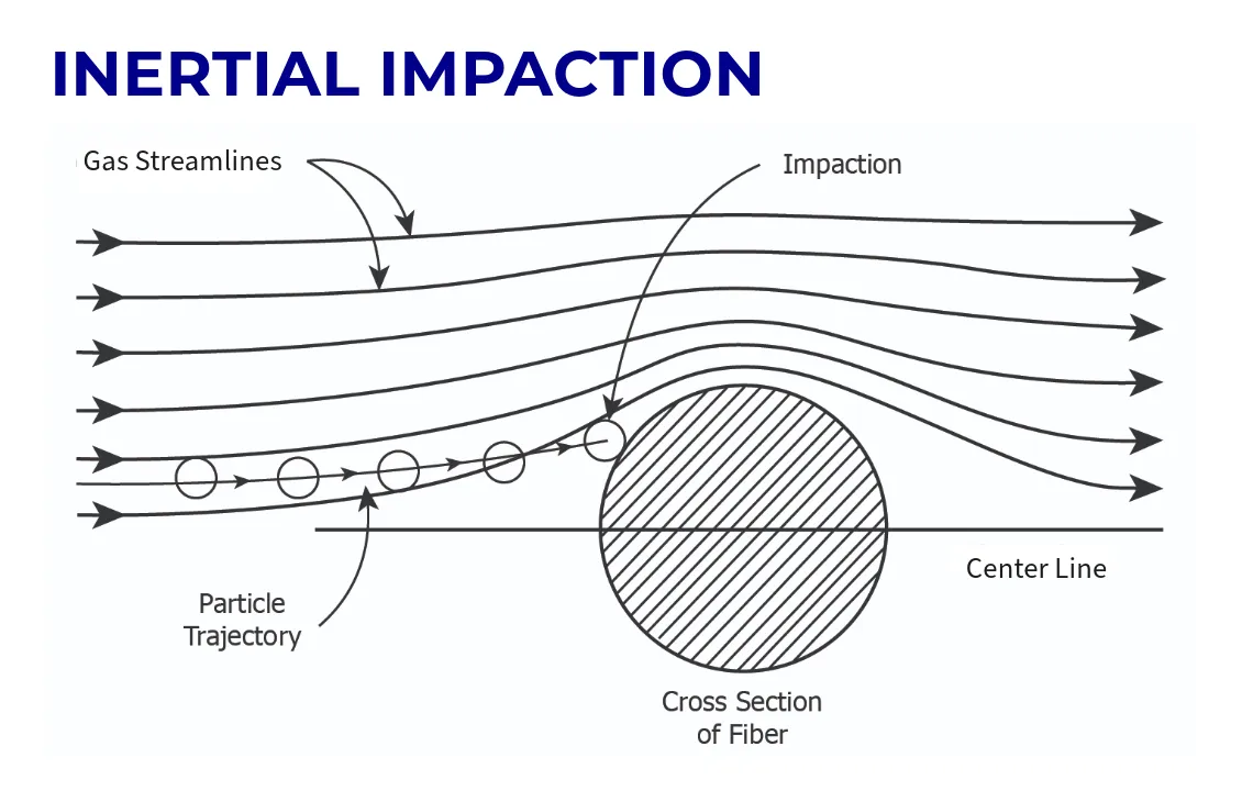 Particle Formation and Behavior